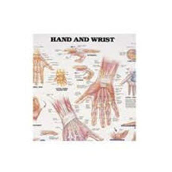 Patterson Med(Sammons Preston) Hand And Wrist 20x26