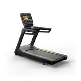 Endurance Treadmill (Packaging - Each)