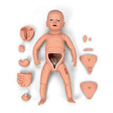 Nasco Healthcare, Inc Manikin Training Baby Each - SB25999