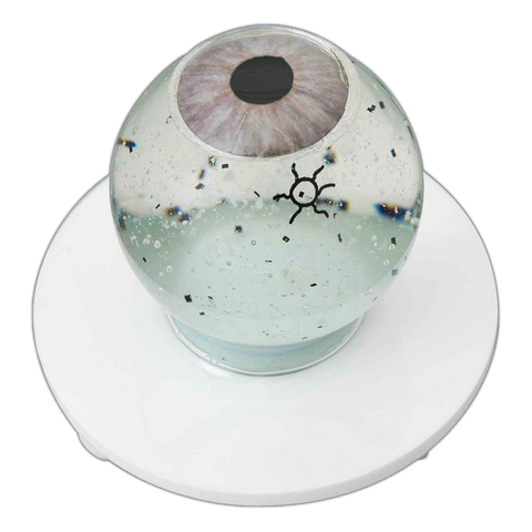 SIEPSER VITREOUS FLOATER DEMONSTRATOR