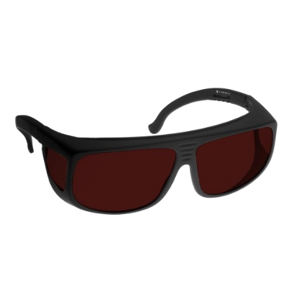 NOIR DARK PLUM LARGE
