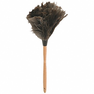 21 Feather Duster 1 EA